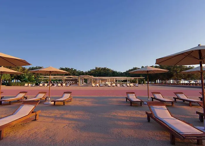 Paloma Orenda 锡德